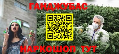 мяу мяу мука Будённовск