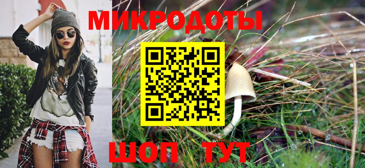 Псилоцибиновые грибы GOLDEN TEACHER Северобайкальск